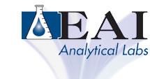 EAI Logo